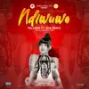 Ava Peace Music - Ndiwuwo (feat. Pallaso) - Single